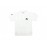Polo Lonsdale
