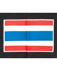 CAMISETA BENLEE THAI