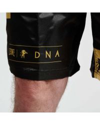 Pantalon Leone MMA DNA 